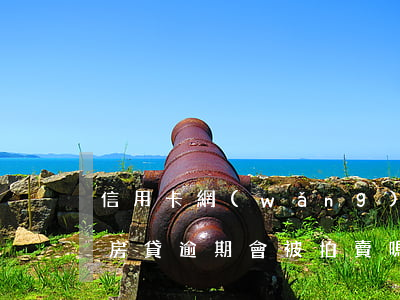 信用卡網(wǎng)貸逾期房子會拍賣嗎(房貸逾期會被拍賣嗎)