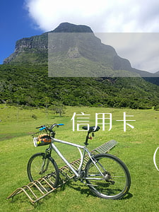 信用卡網(wǎng)貸逾期換號(hào)碼(網(wǎng)貸逾期可以改名字嗎)