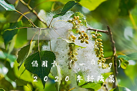 信用卡網(wǎng)貸逾期暴增解決方案：2020年新政策與應(yīng)對策略