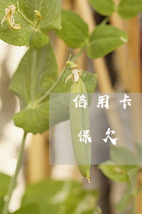 信用卡網(wǎng)貸逾期會不會影響社保(欠網(wǎng)貸信用卡會影響社保嗎)
