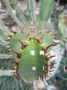 信用卡網(wǎng)貸逾期有風(fēng)險(xiǎn)嗎 網(wǎng)貸和信用卡逾期哪個(gè)可怕