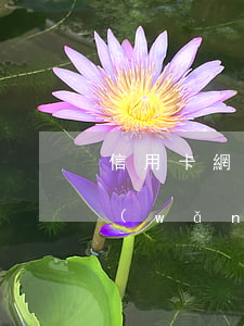 信用卡網(wǎng)貸逾期未還(信用卡網(wǎng)貸逾期未還可以買車貸款嗎)
