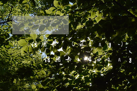 信用卡網(wǎng)貸逾期沒有能力償還-信用卡網(wǎng)貸逾期沒有能力償還怎么辦