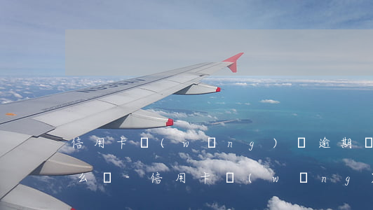 信用卡網(wǎng)貸逾期沒有能力還怎么辦-信用卡網(wǎng)貸逾期沒有能力還怎么辦呢