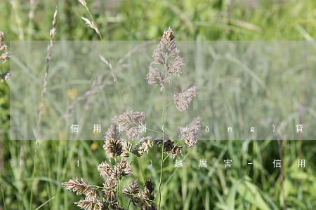 信用卡網(wǎng)貸逾期為什么越來(lái)越厲害-信用卡網(wǎng)貸逾期為什么越來(lái)越厲害了