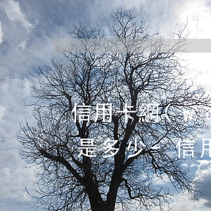 信用卡網(wǎng)貸逾期無力償還最高是多少-信用卡網(wǎng)貸逾期無力償還最高是多少錢