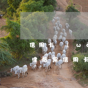 信用卡網(wǎng)貸逾期無力償還的法律后果(信用卡網(wǎng)貸逾期無力償還的法律后果是什么)