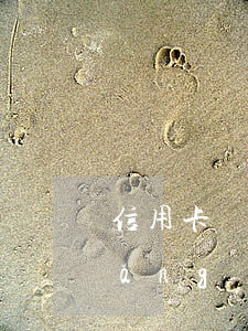 信用卡網(wǎng)貸逾期的后果(網(wǎng)貸逾期會(huì)影響信用卡辦理嗎)