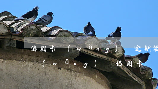 信用卡網(wǎng)貸逾期能做動車嗎(有網(wǎng)貸信用卡車貸能過嗎)