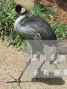 信用卡網(wǎng)貸逾期能買車嗎(信用卡有逾期買車能貸款嗎)