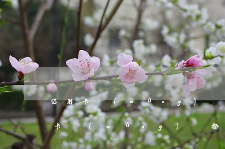 信用卡網(wǎng)貸逾期自救方法(信用卡網(wǎng)貸都逾期了怎么才能活下去)