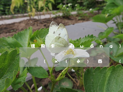 信用卡網(wǎng)貸逾期被起訴后如何協(xié)商 網(wǎng)貸逾期與信用卡逾期的后果