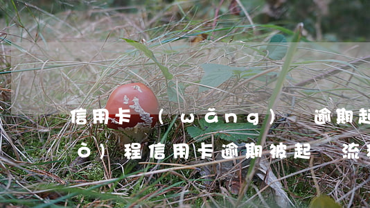 信用卡網(wǎng)貸逾期起訴過(guò)程(信用卡逾期被起訴流程)