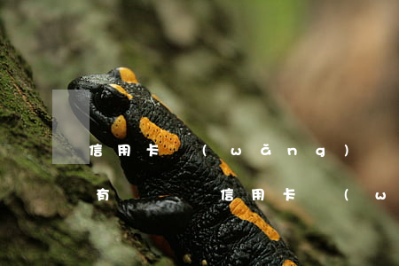 信用卡網(wǎng)貸逾期身上一分錢沒有 沒錢還信用卡網(wǎng)貸怎么辦