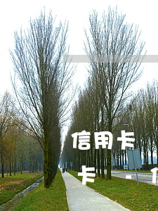 信用卡網(wǎng)貸逾期還可以用銀行卡嗎-信用卡網(wǎng)貸逾期還可以用銀行卡嗎安全嗎