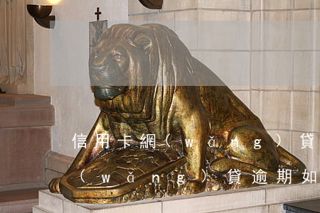 信用卡網(wǎng)貸逾期還怎么借錢(網(wǎng)貸逾期如何辦理信用卡)