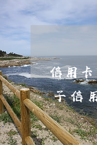 信用卡網(wǎng)貸逾期還能貸款的口子（信用卡網(wǎng)貸逾期還能貸款的口子）