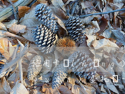 信用卡網(wǎng)貸還不上可以全權(quán)委托嗎-信用卡網(wǎng)貸還不上可以全權(quán)委托嗎怎么辦