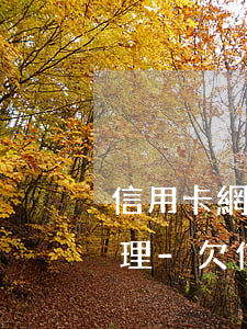 信用卡網(wǎng)貸還不上應該怎么辦理-欠信用卡網(wǎng)貸還不上怎么辦