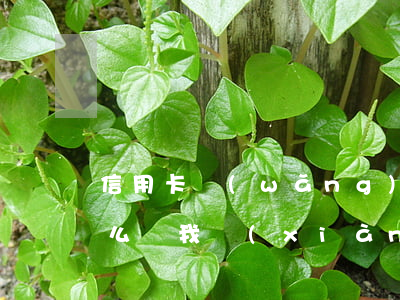信用卡網(wǎng)貸還不動了逾期了怎么辦(我現(xiàn)在信用卡和網(wǎng)貸全部逾期還不起了怎么辦)
