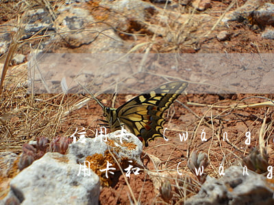信用卡網(wǎng)貸都逾期20萬(欠信用卡和網(wǎng)貸40萬全面逾期)
