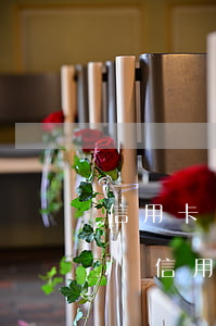 信用卡網(wǎng)貸都逾期了一年怎么辦(信用卡,網(wǎng)貸全部逾期了)