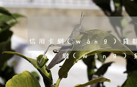 信用卡網(wǎng)貸都逾期先還哪個(gè)(網(wǎng)貸逾期還能用信用卡嗎)