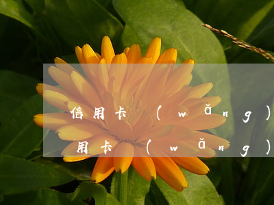 信用卡網(wǎng)貸銀行還不起(我欠信用卡,網(wǎng)貸,現(xiàn)在還不上,該怎么辦)