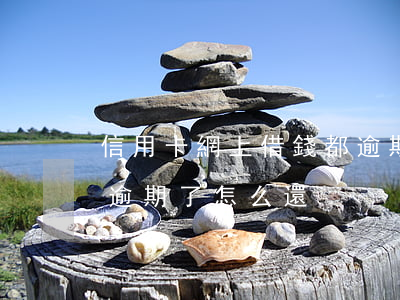 信用卡網上借錢都逾期了(信用卡網上借錢都逾期了怎么還)