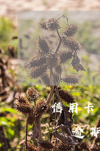 信用卡網貨逾期了有法律援助嗎-信用卡網貨逾期了有法律援助嗎怎么辦