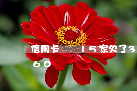 信用卡網貸15家欠了30萬(欠信用卡網貸60幾萬)