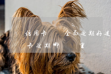 信用卡網貸全面逾期好迷茫(網貸逾期跟信用卡逾期哪個嚴重)