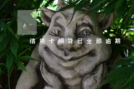 信用卡網貸已全部逾期
