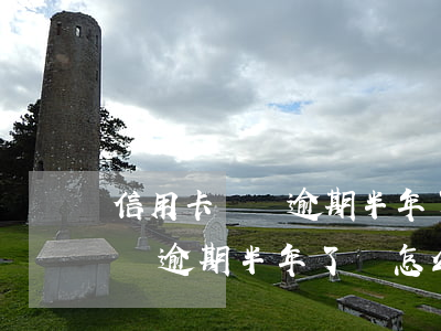 信用卡網貸逾期半年了會怎么樣-信用卡網貸逾期半年了會怎么樣嗎