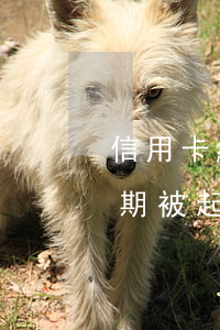 信用卡網貸逾期對方要起訴怎么辦-網貸逾期被起訴信用卡會被凍結嗎