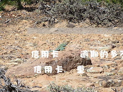 信用卡網貸逾期的多不多(網貸逾期嚴重還是信用卡嚴重)