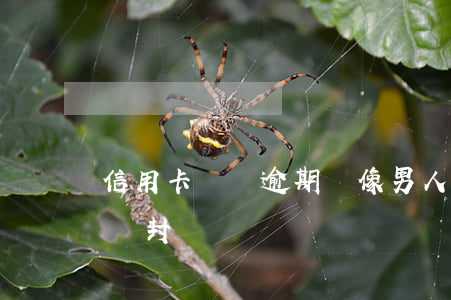 信用卡網貸逾期頭像男人(欠網貸逾期信用卡會封嗎?)