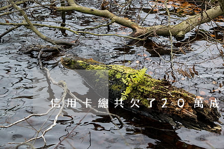 信用卡總共欠了20萬成了呆帳-