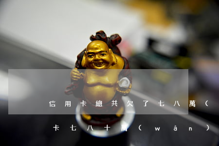 信用卡總共欠了七八萬(wàn)-欠信用卡七八十萬(wàn)怎么辦
