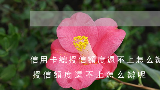 信用卡總授信額度還不上怎么辦-信用卡總授信額度還不上怎么辦呢