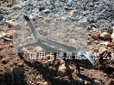 信用卡總是透支怎么辦(銀行信用卡透支)