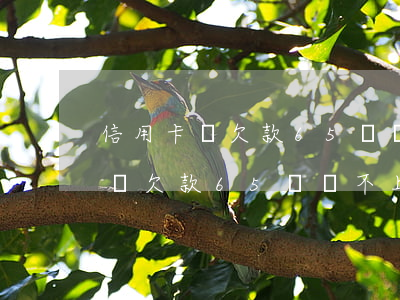 信用卡總欠款65萬還不上怎么辦-信用卡總欠款65萬還不上怎么辦呢