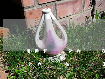 信用卡總計欠六萬實在沒錢還了(信用卡總計欠六萬實在沒錢還了會怎么樣)