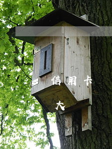 信用卡總逾期影響大嗎-信用卡總逾期影響大嗎嗎
