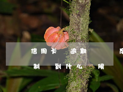 信用卡總逾期會漲額度嗎(信用卡逾期會無限制漲到什么時候)