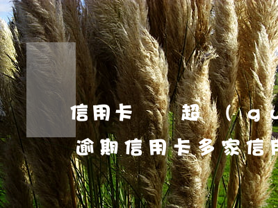 信用卡總額超過(guò)5萬(wàn)逾期(信用卡多家信用卡逾期金額5萬(wàn)以上怎么辦)