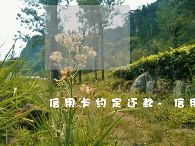 信用卡约定还款-信用卡协商还款