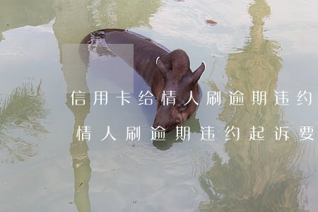 信用卡给情人刷逾期违约起诉要回(信用卡给情人刷逾期违约起诉要回)