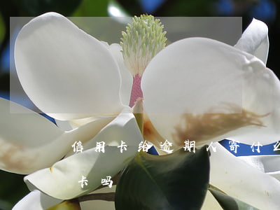 信用卡给逾期人寄什么快递(快递可以寄信用卡吗)