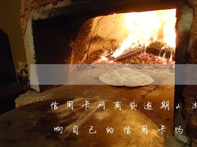 信用卡网商贷逾期2次(网商贷逾期2天会影响自己的信用卡吗)